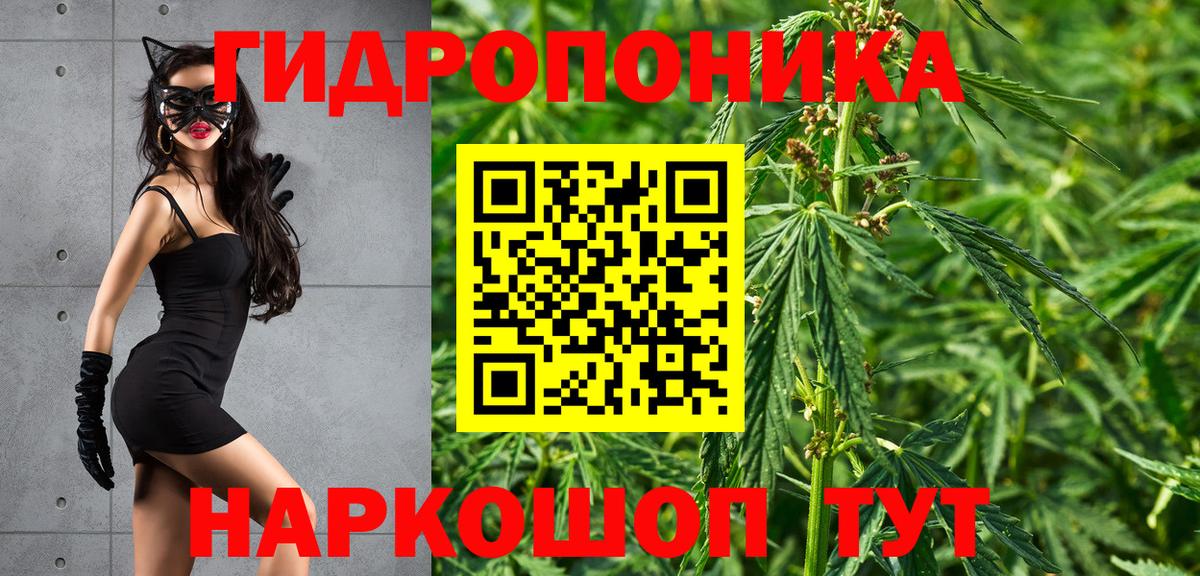Шишки марихуана гибрид Полысаево
